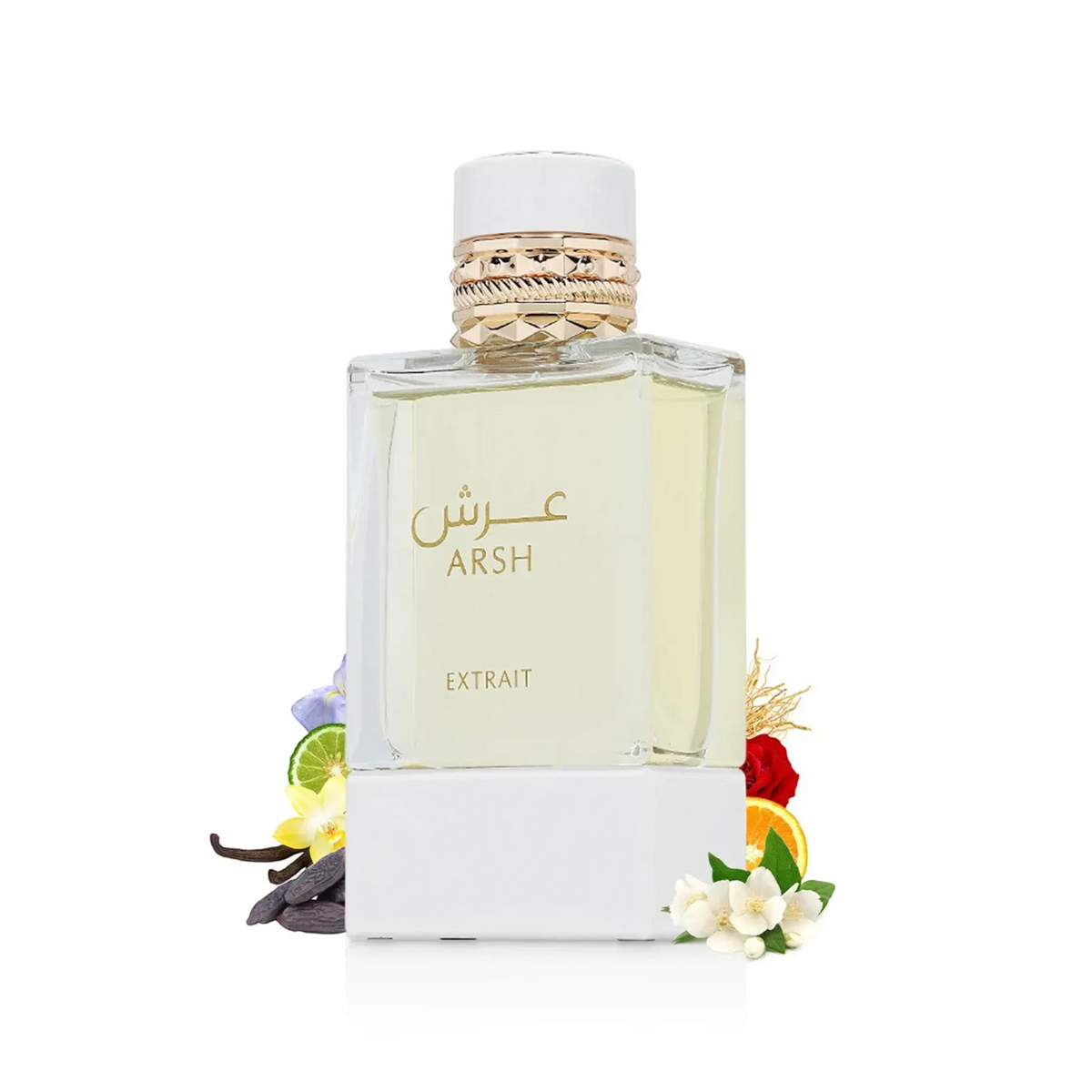 ARSH Ex.DP 100ml