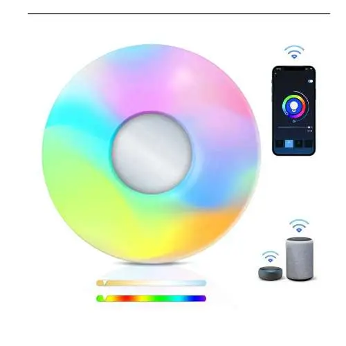 5.webp